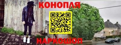 ешки Новодвинск