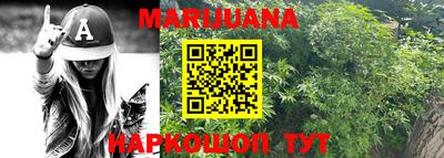 ешки Новодвинск