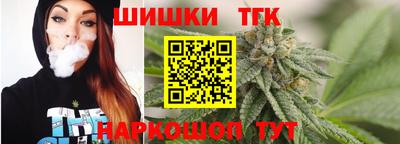 ешки Новодвинск