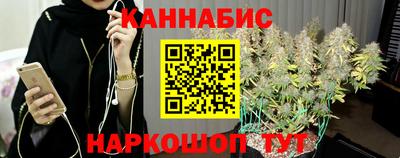 ешки Новодвинск