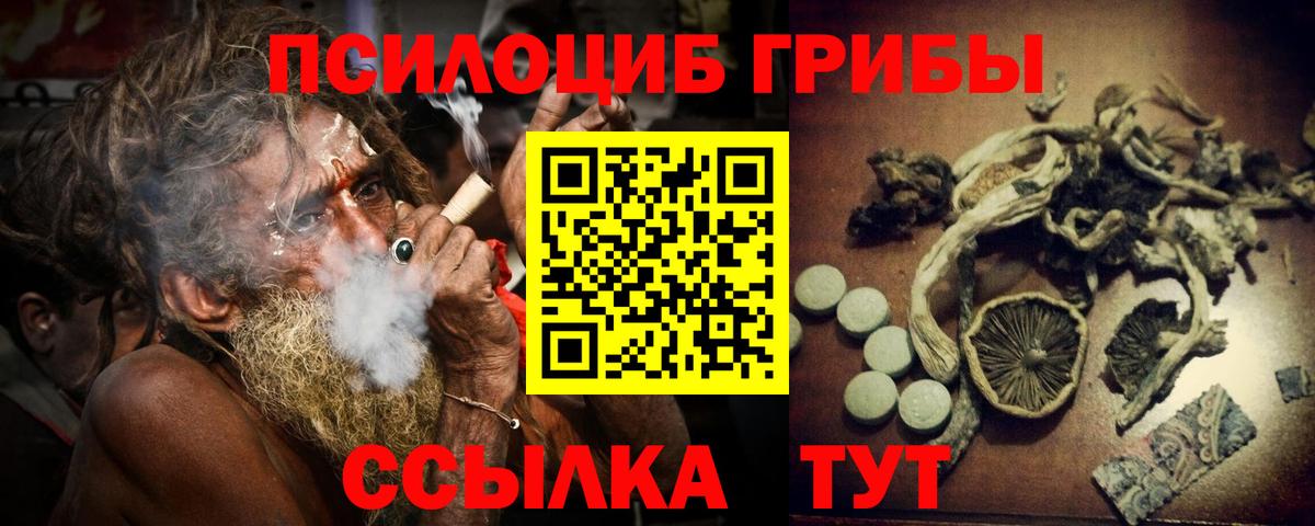 Галлюциногенные грибы Cubensis Сокол